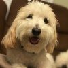 lucygl